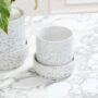 Claxton Pot with Saucer – White – 6.25″